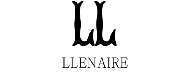 Logo Hotel Llenaire
